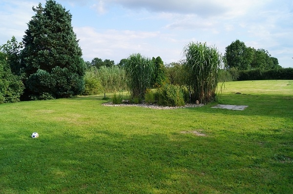 Blick in den Garten Einfamilienhaus Balje