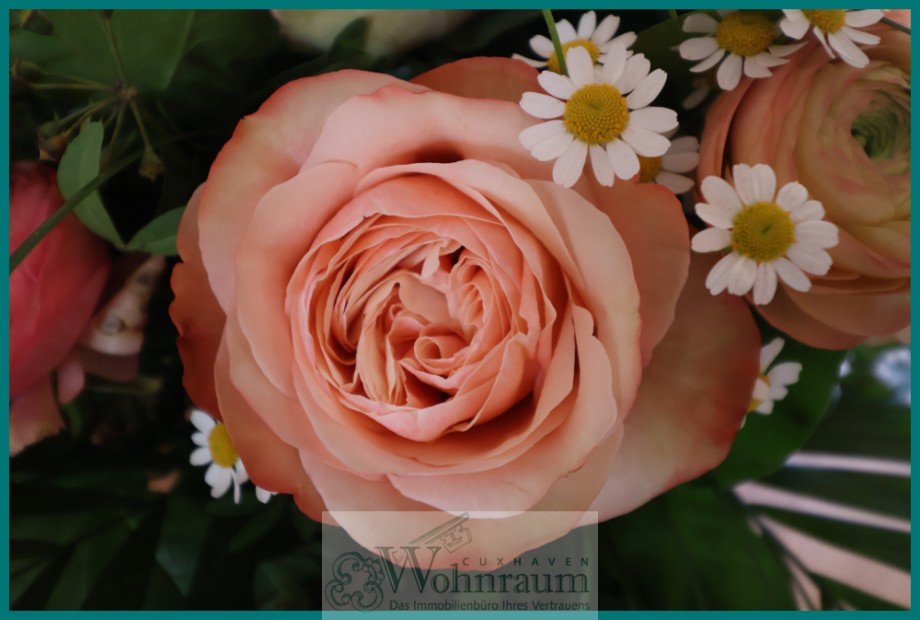  Einfamilienhaus Cuxhaven / L�dingworth