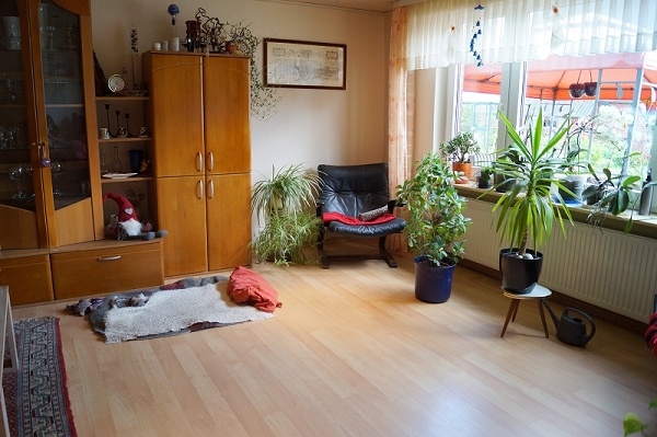 Wohnzimmer Einfamilienhaus Nordleda