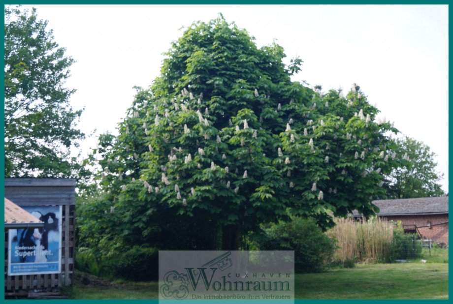 Garten Einfamilienhaus Schiffdorf / Geestenseth