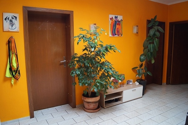 gro�e helle Diele mit Lichtkuppel Einfamilienhaus Balje