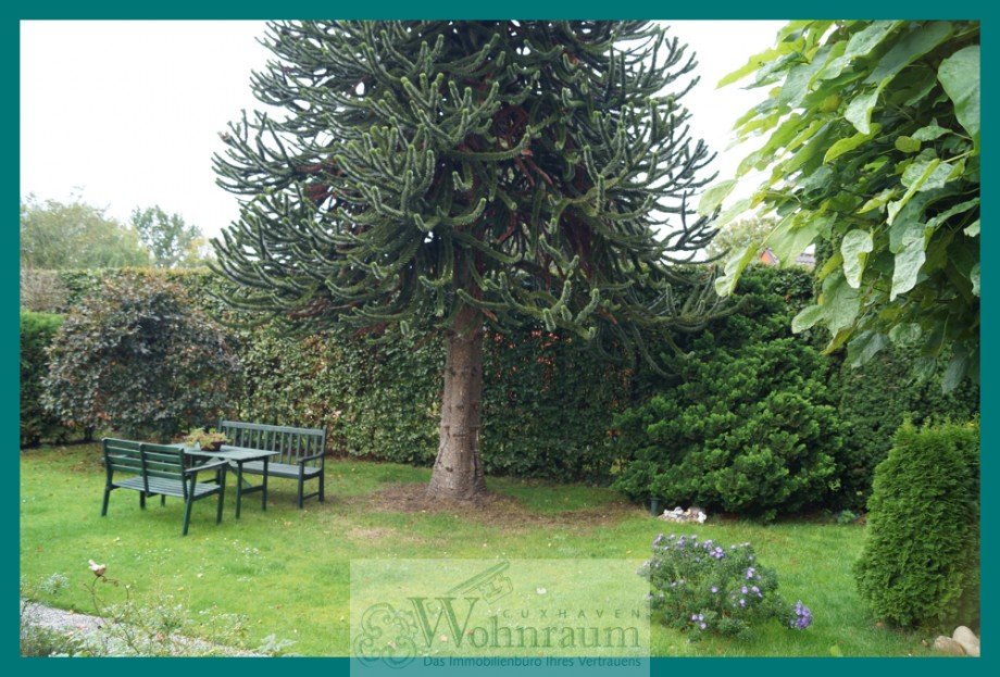  Einfamilienhaus Wurster Nordseek�ste