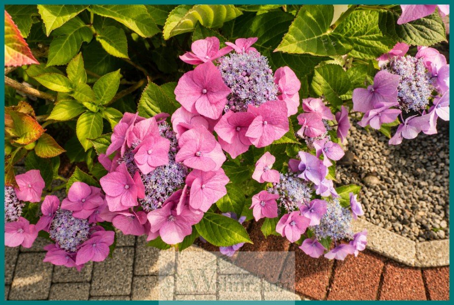  Einfamilienhaus Cuxhaven / D�se